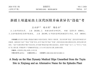 科技人文研究院王兴伊团队首次破...