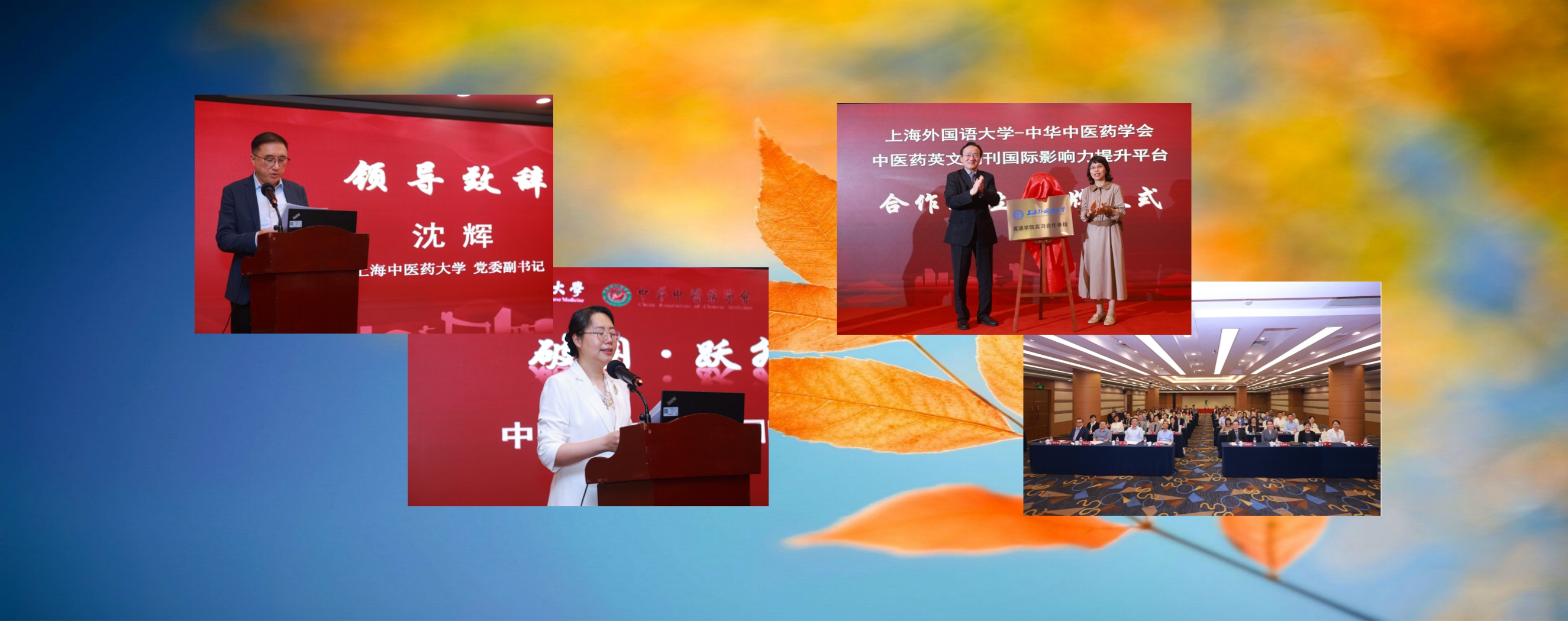 文化杂志